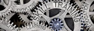 Skills Training Knowledge Learning Competence Ability Education