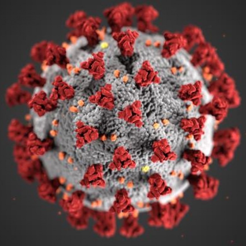 Coronavirus